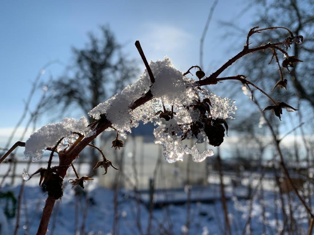 Ostseestuev Boiensdorf Екстериор снимка