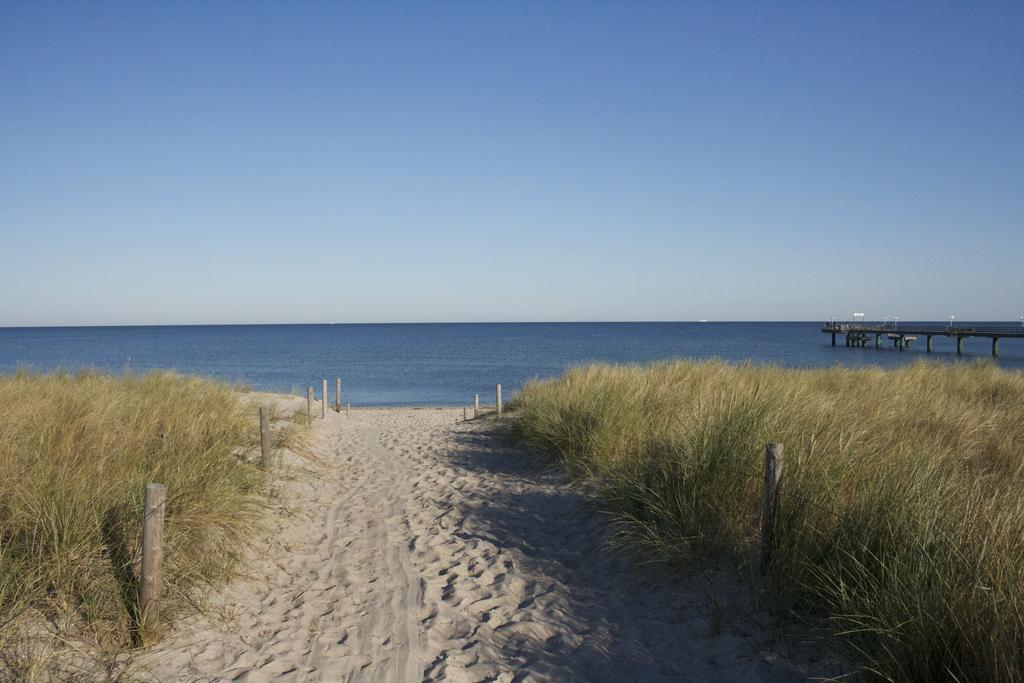 Ostseestuev Boiensdorf Стая снимка